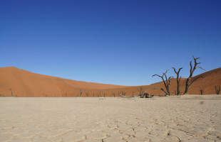 Namibia 2010